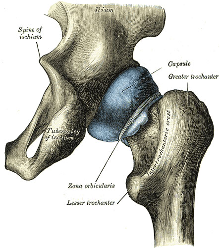 Osteoarthritis of the Knee